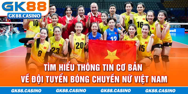 Tìm hiểu thông tin cơ bản về đội tuyển bóng chuyền nữ Việt Nam